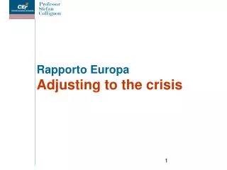 Rapporto Europa Adjusting to the crisis