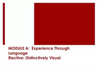 MODULE A: Experience Through Language Elective: Distinctively Visual