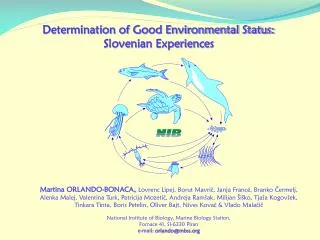 Determination of G ood E nvironmental Status : Slovenian Experiences