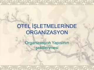 OTEL İŞLETMELERİNDE ORGANİZASYON