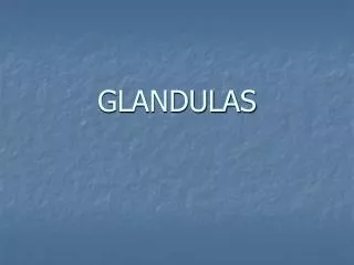 glandulas