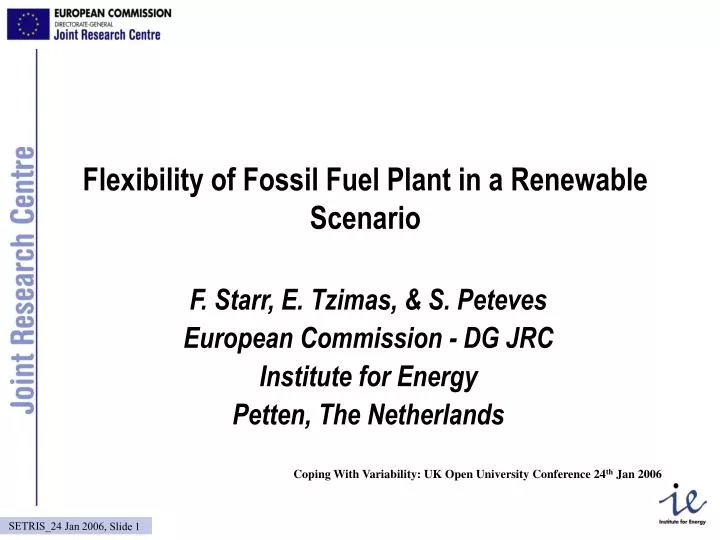 flexibility of fossil fuel plant in a renewable scenario