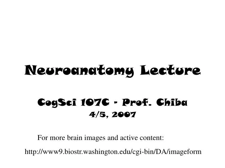 neuroanatomy lecture