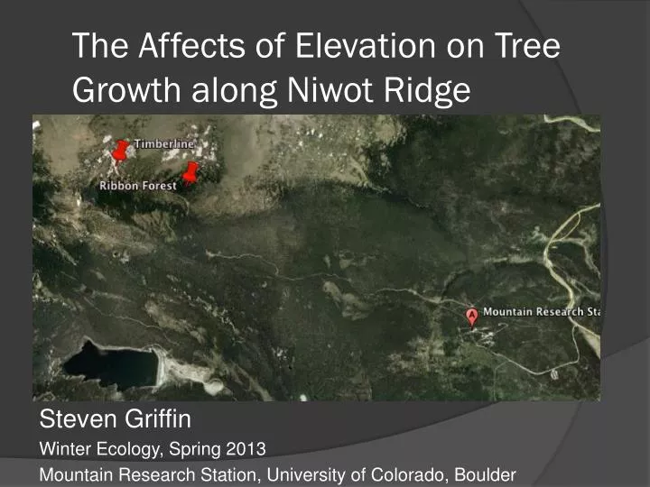 the affects of elevation on tree growth along niwot ridge
