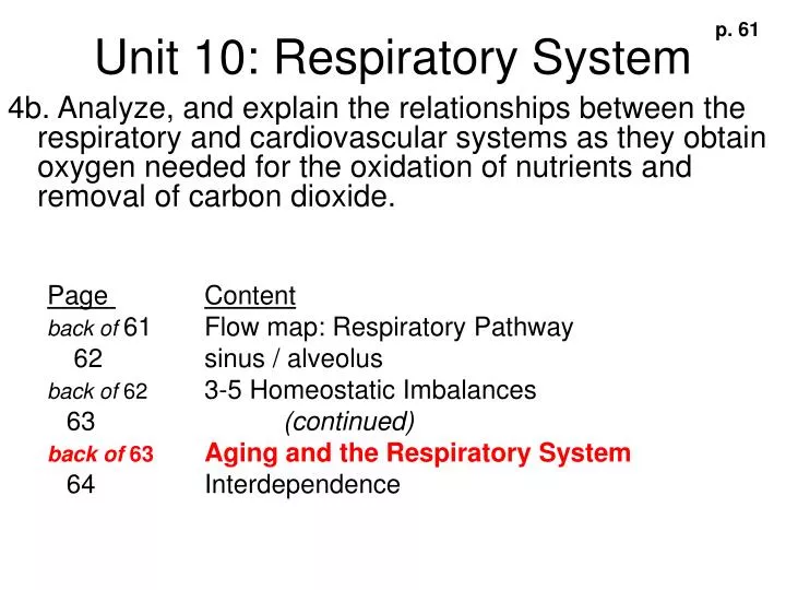 unit 10 respiratory system