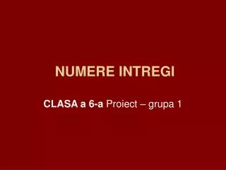 numere intregi