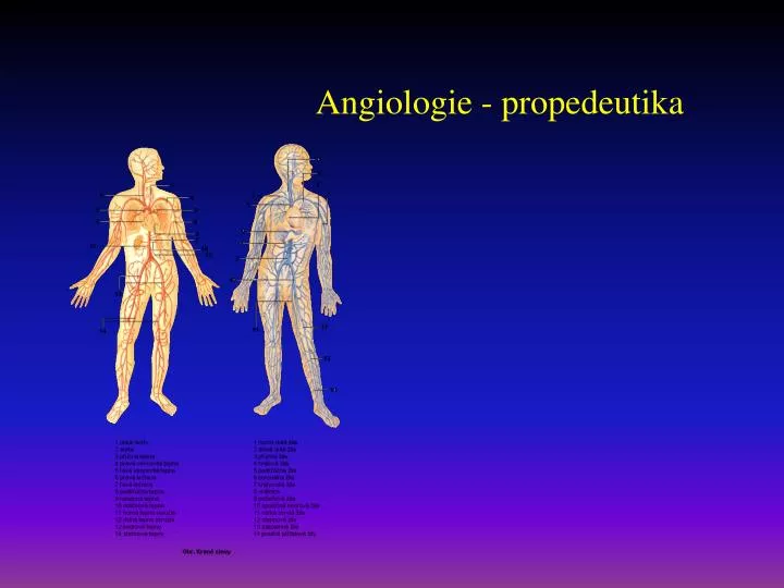 angiologie propedeutika
