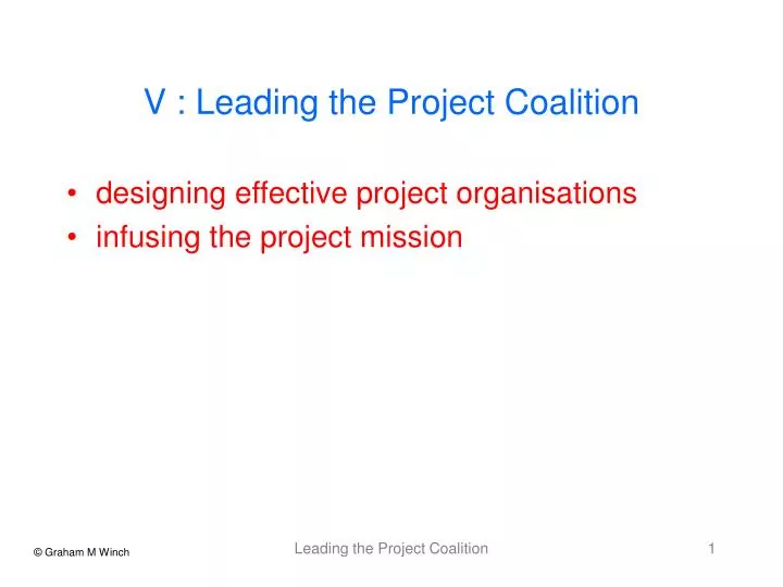v leading the project coalition