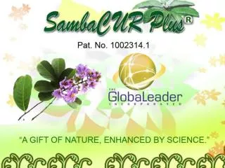 Health Benefits of Sambong Has anti- diarrhetic properties. Helps in treating colds &amp; fever.