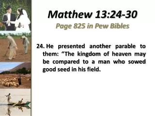 Matthew 13:24-30 Page 825 in Pew Bibles
