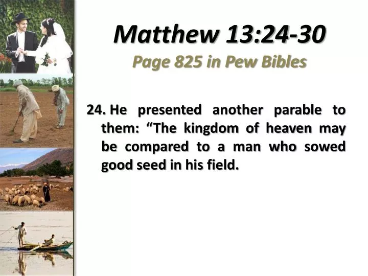 matthew 13 24 30 page 825 in pew bibles