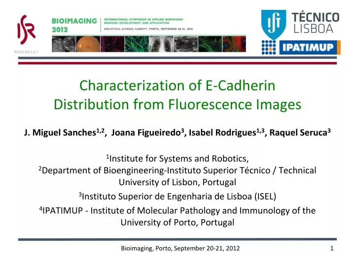 characterization of e cadherin distribution from fluorescence images