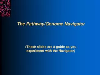 The Pathway/Genome Navigator