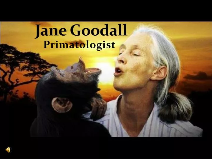 jane goodall