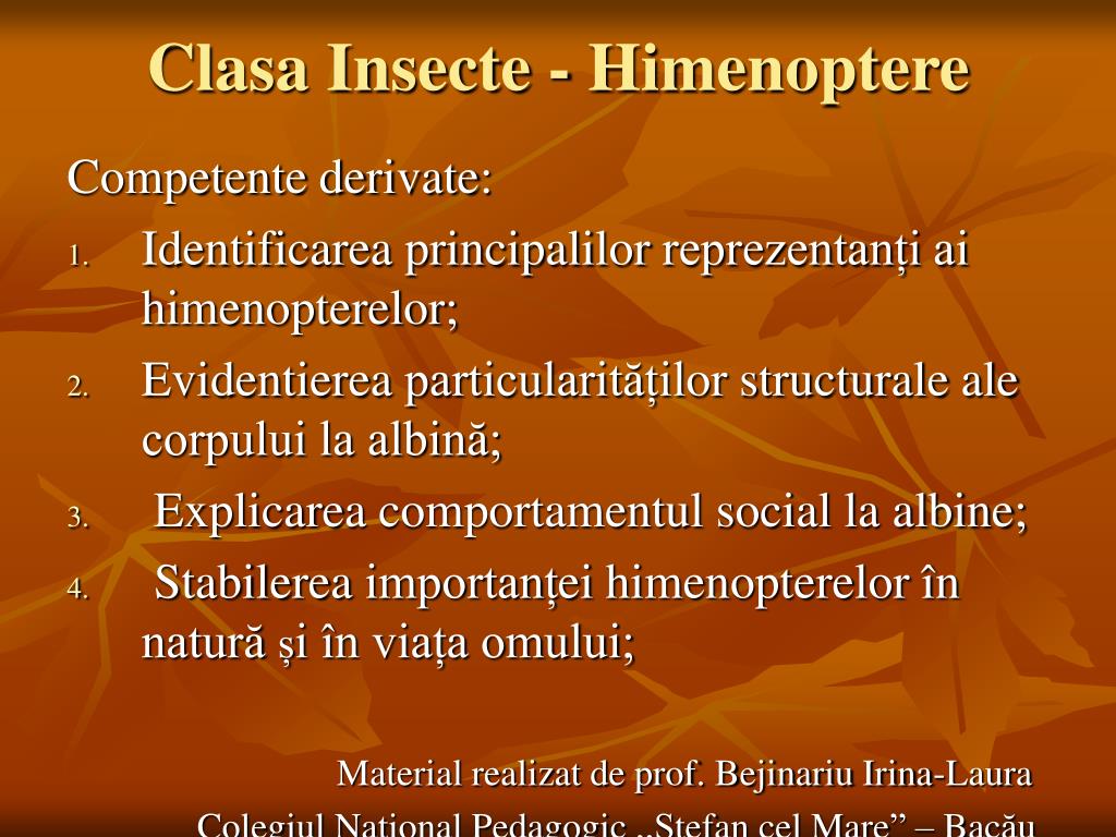 PPT - Clasa Insecte - Himenoptere PowerPoint Presentation, free ...
