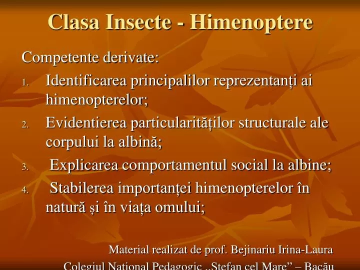 clasa insecte himenoptere