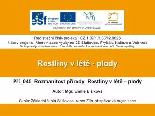 rostliny v l t plody