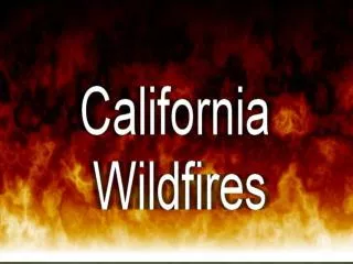 Wildfires