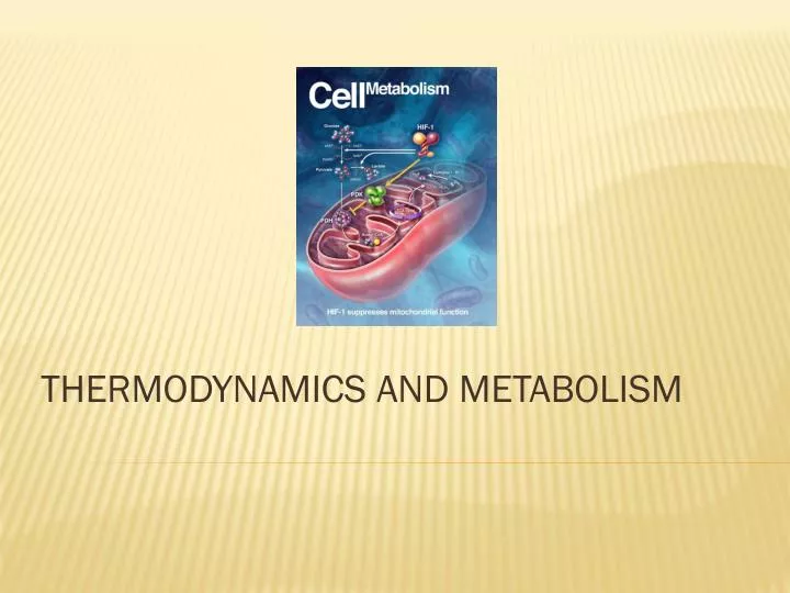 thermodynamics and metabolism