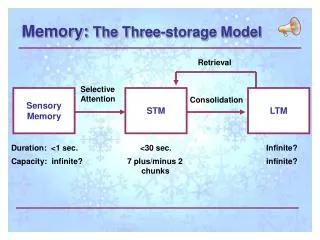 Memory: The Three-storage Model