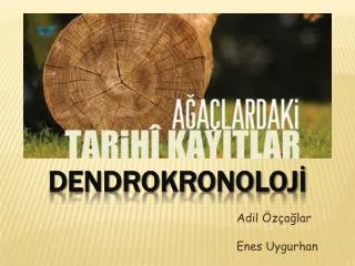 adil z a lar enes uygurhan