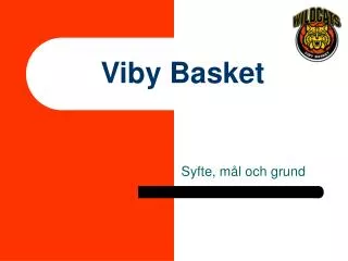 viby basket