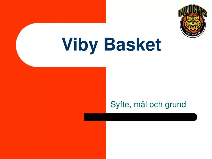 viby basket