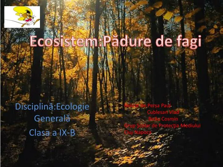 disciplin ecologie general clasa a ix b