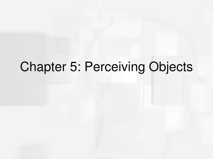 chapter 5 perceiving objects