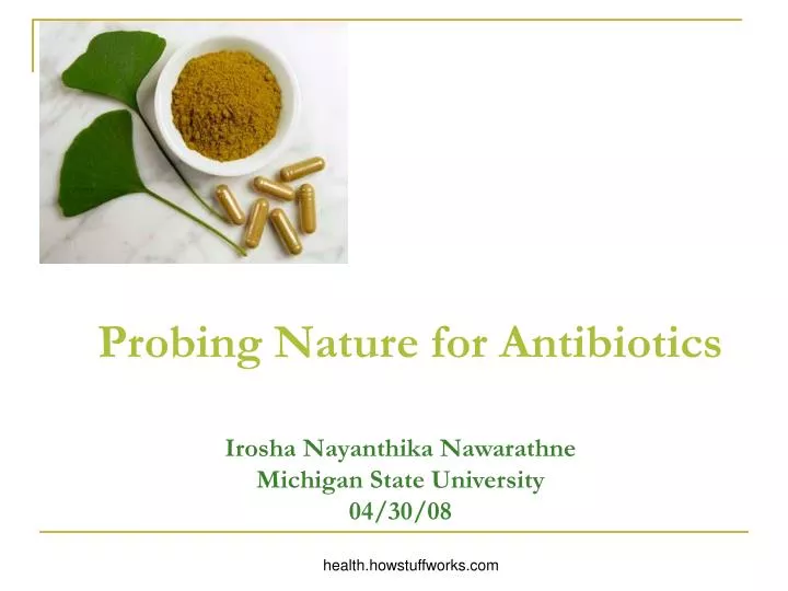 probing nature for antibiotics