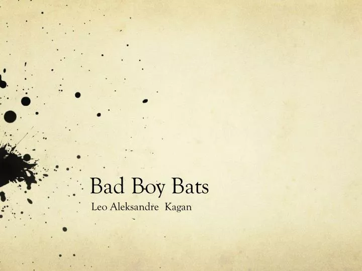 bad boy bats