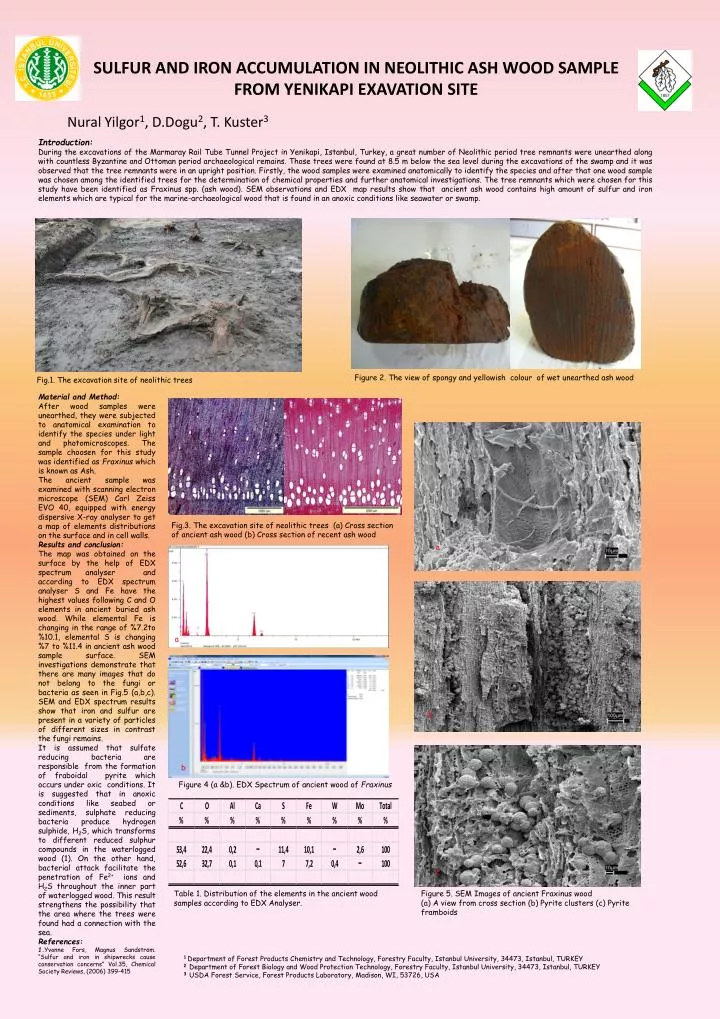 sulfur and iron accumulation in neolithic ash wood sample from yenikapi exavation site
