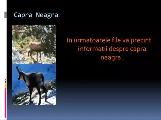 capra neagra