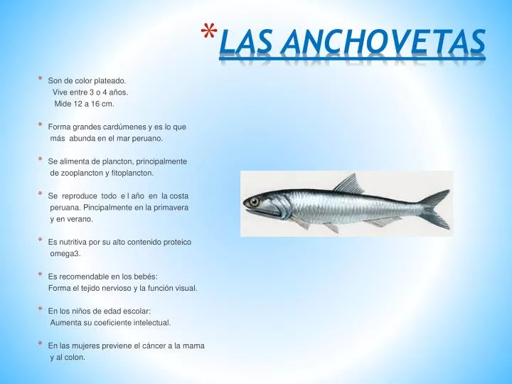 las anchovetas