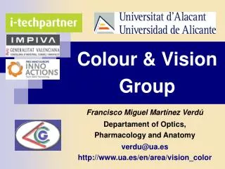 Colour &amp; Vision Group