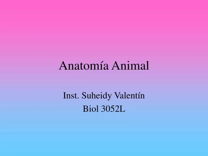anatom a animal