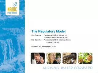 The Regulatory Model