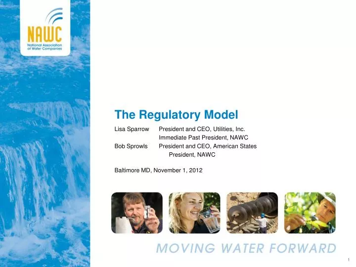 the regulatory model