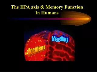 The HPA axis &amp; Memory Function In Humans