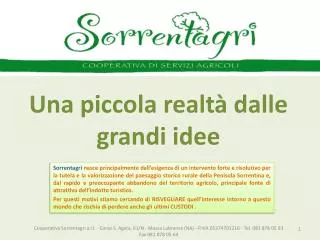 una piccola realt dalle grandi idee