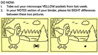 DO NOW: Take out your microscope YELLOW packets from last week.