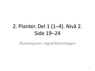 2 planter del 1 1 4 niv 2 side 19 24
