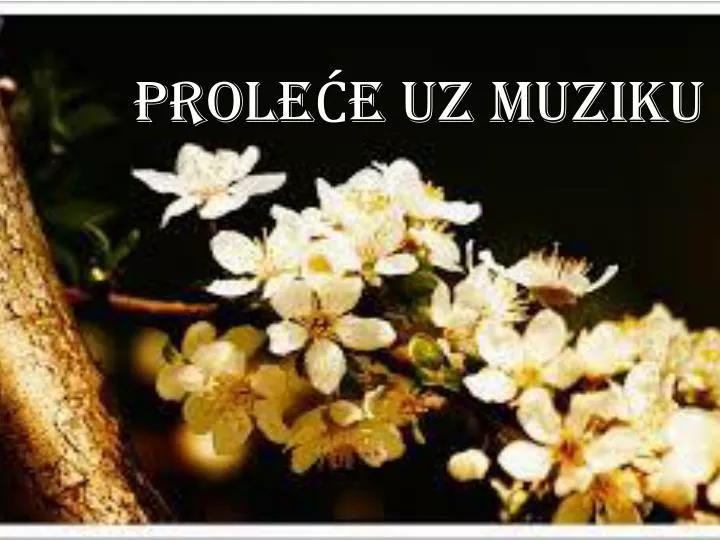 prole e uz muziku