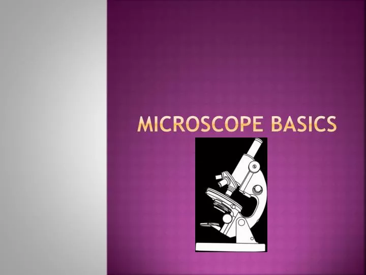 microscope basics