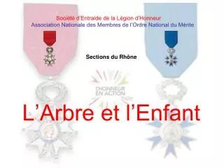 l arbre et l enfant