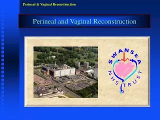 Perineal and Vaginal Reconstruction