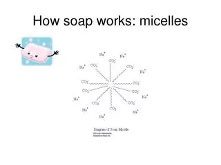 How soap works: micelles