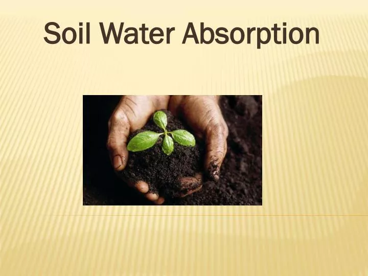 soil water absorption