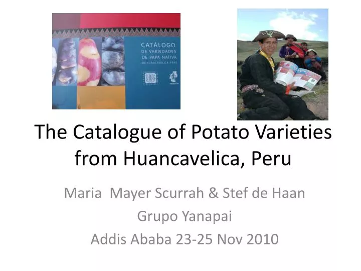 the catalogue of potato varieties from huancavelica peru