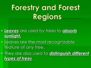 Forestry and Forest Regions Leaves are used by trees to absorb sunlight.